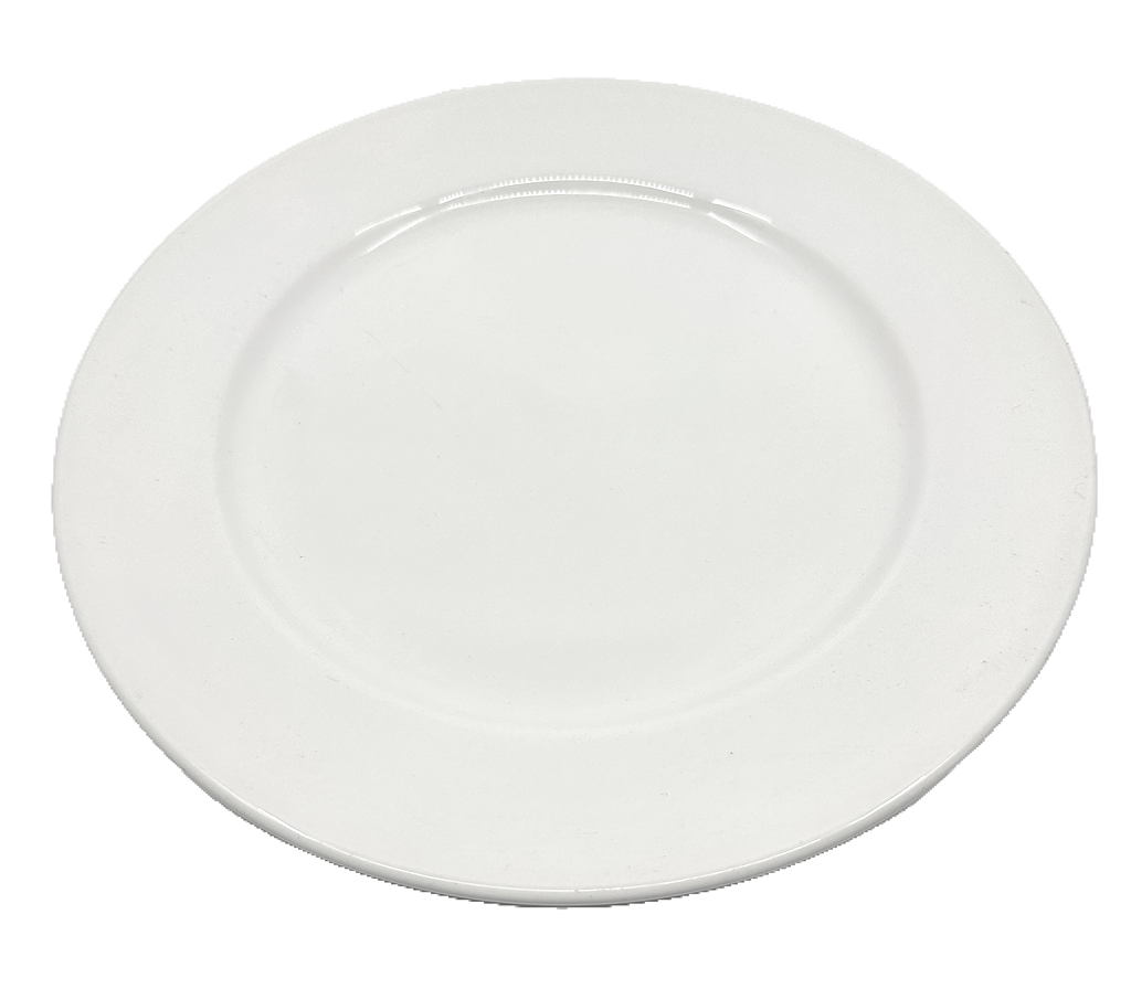 Assiettes Dudson ø25cm photo 1
