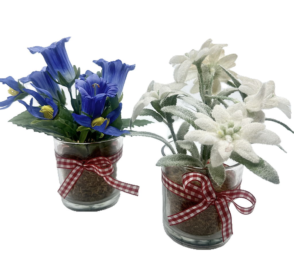 Déco Violettes & Edelweiss photo 1
