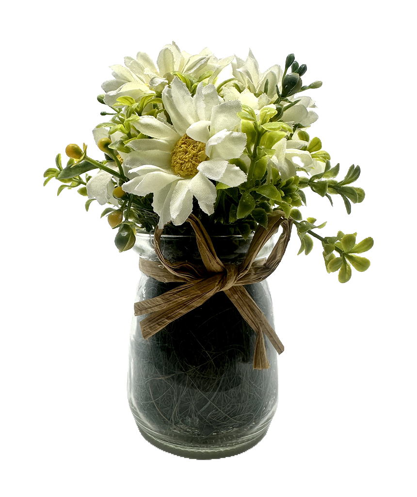 Fleurs Marguerite photo 1