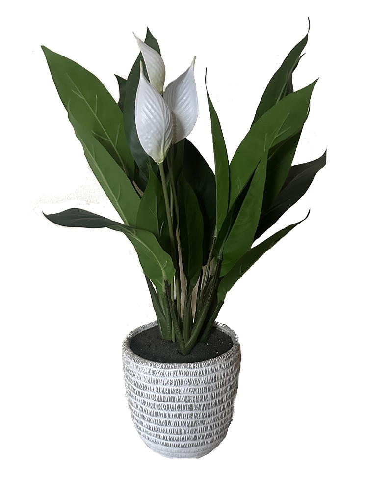 Plante lys artificielle photo 1
