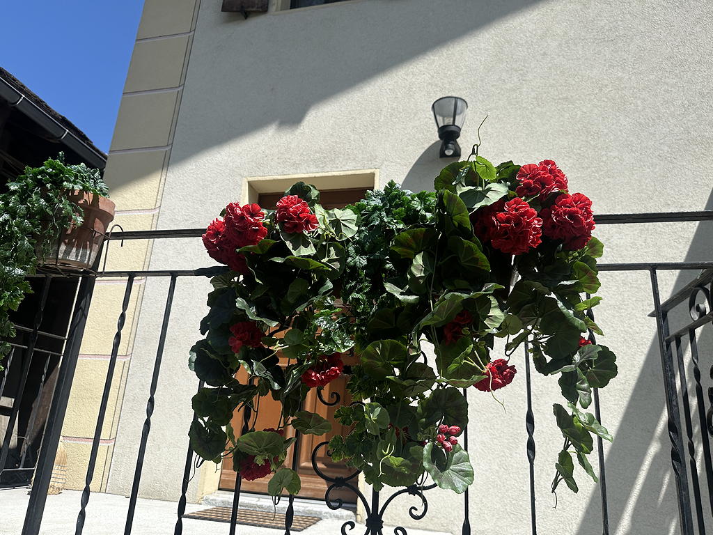 Balconnières à géraniums photo 1