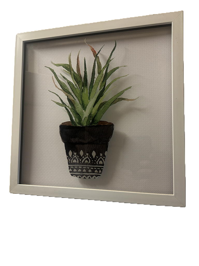 Cadre Plante photo 1